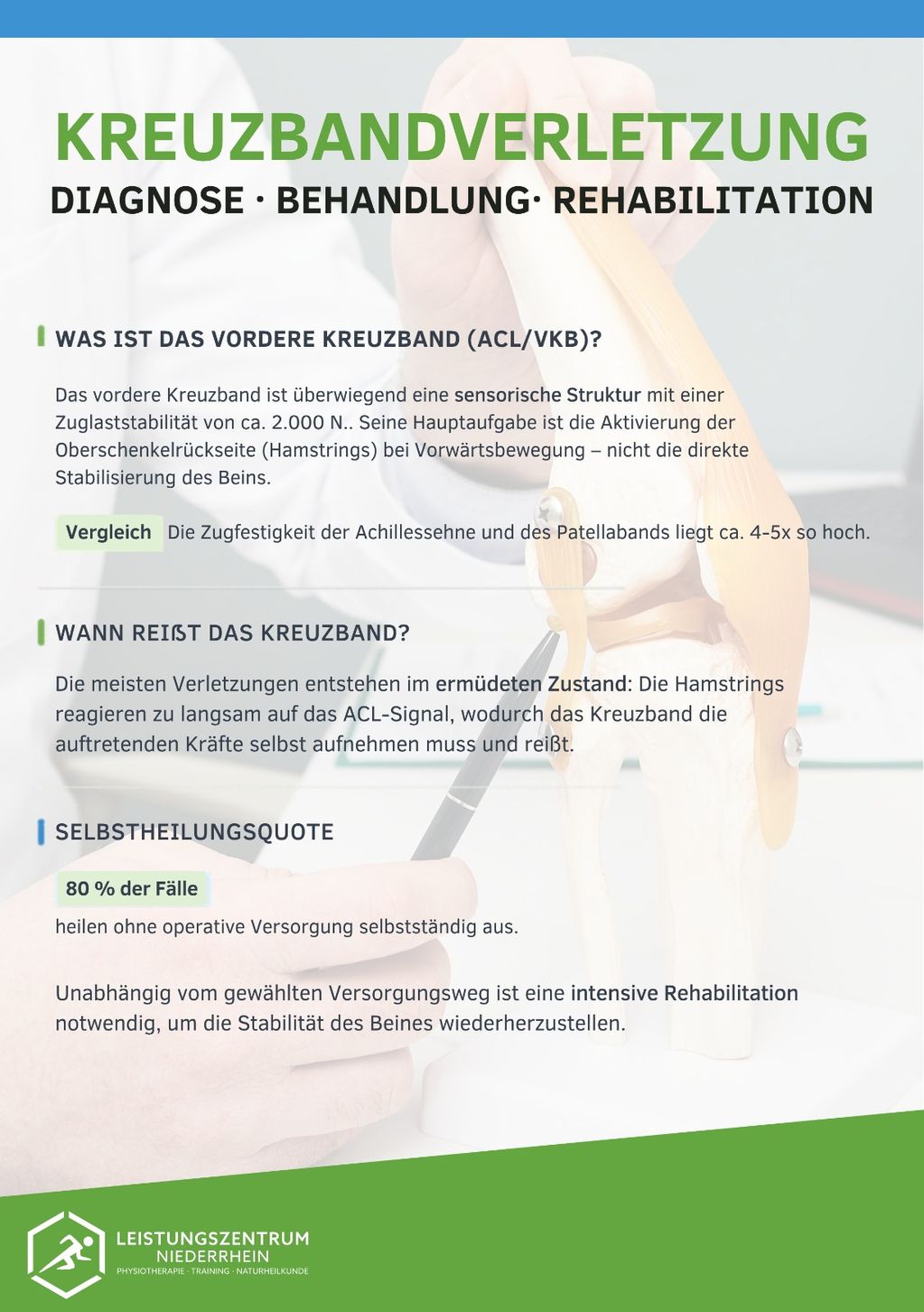 Information on anterior cruciate ligament (ACL) injuries, diagnosis, treatment, and rehabilitation, featuring a model of a knee joint.